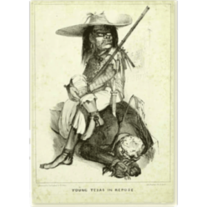 Texas Slavery Project icon