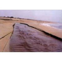 הסקר שהותיר זכרון לא נעים icon