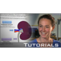 Hippocrates: Online medical tutorials - Case study icon