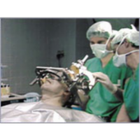 The Brain Divided icon