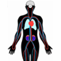 Hormones that act on the kidneys