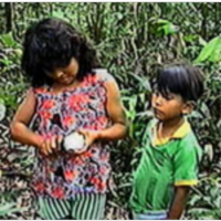 Exploring Chocolate icon