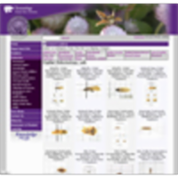 Digital Entomology Lab icon