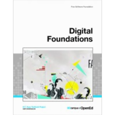 Digital Foundations icon