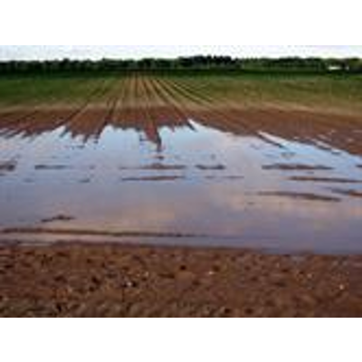 Abiotic stresses in agroecology: a challenge for whole plant physiology