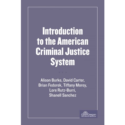 Introduction to the American Criminal Justice System icon