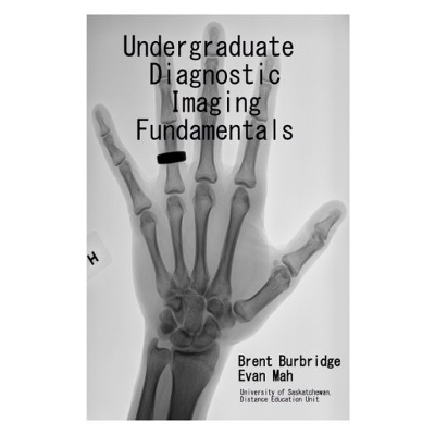 Undergraduate Diagnostic Imaging Fundamentals 8211; Open Textbook