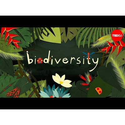Why is biodiversity so important? - Kim Preshoff icon