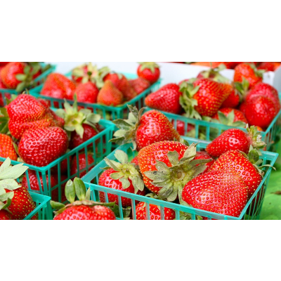 Nourish: Food + Community | Kanopy icon