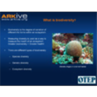 Design A Conservation Programme icon