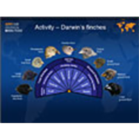 Darwin's Finches icon