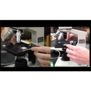 Microscope Basics