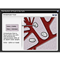 Distribution of Fluid in the Cells icon