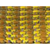 Peptidoglycan bacteria icon