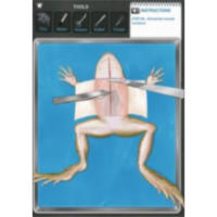 Frog Dissection App for iPad
