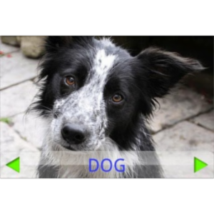 Toddler Tapping Zoo App for Android icon