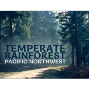 Temperate Rainforest in the Pacific Northwest icon