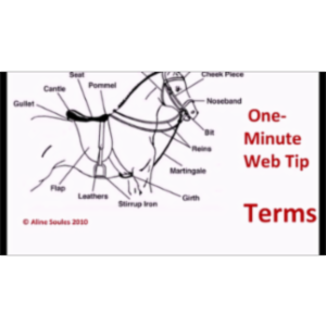 Effective Web Searching: TERMS icon