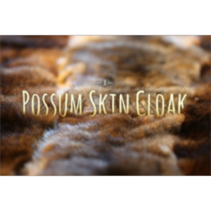 Gaps in Australia’s Indigenous Language Policy: Dismantling bilingual education in the Northern Territory icon