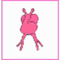 Cardiovascular Embryology Animations icon