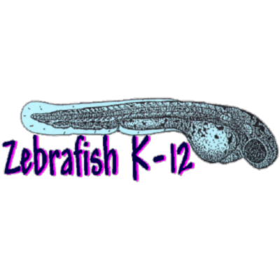 Zebrafish K-12