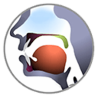 The Sounds of Spanish and English icon