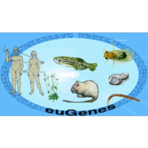 euGenes