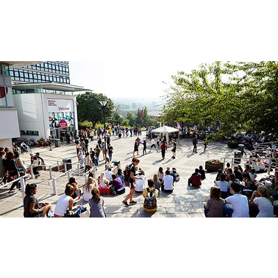 Centre for Voluntary Sector Research icon