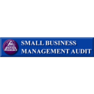 Small Business Management Audit icon