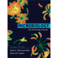 Biofilm Formation icon