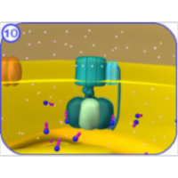 ATP Synthase Gradient icon