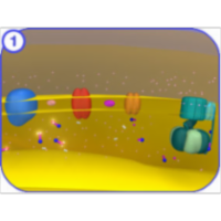 Electron Transport Chain icon