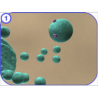 Protein Recycling icon