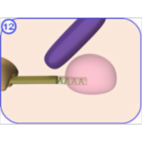 mRNA Processing icon