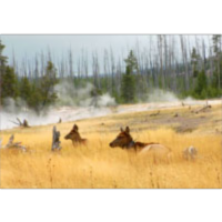 The Habitable Planet