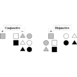 Rule Learning and Attribute Learning