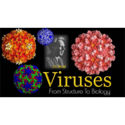 Viruses from Structure to Biology icon