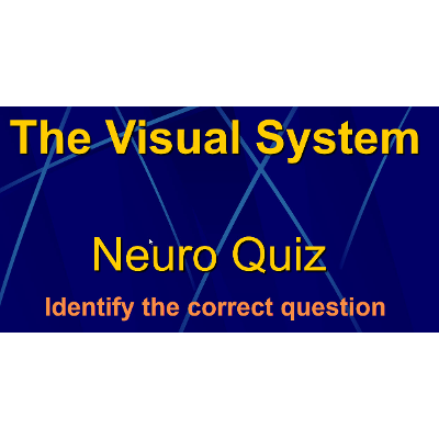 Visual System Quiz Game