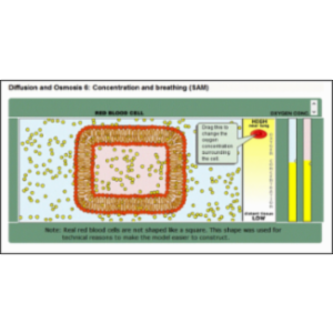 Virginia Science Activities, Models & Simulations (SAMS) icon