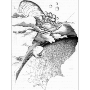 Cell Biology Animation