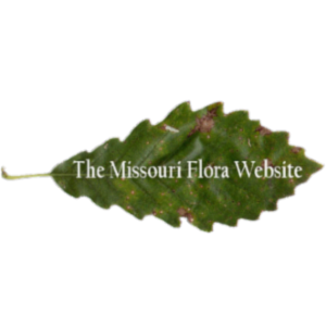 Missouri Flora Website icon