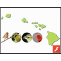 Evolution in Action icon