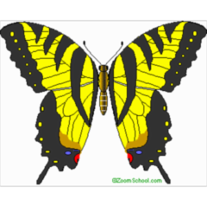 All about butterflies icon