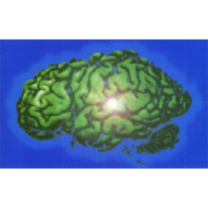 Neuroscience Tutorial icon