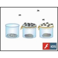 The Scientific Method icon