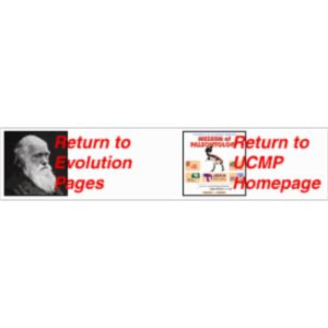 Timeline of Evolutionary Thought icon