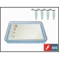 Gel Electrophoresis icon