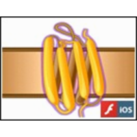 Light-driven Ion Pumps and Sensors icon