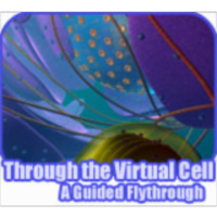 Virtual Cell Animations