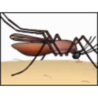 Malaria: Cooperation among Parasite, Vector, and Host icon